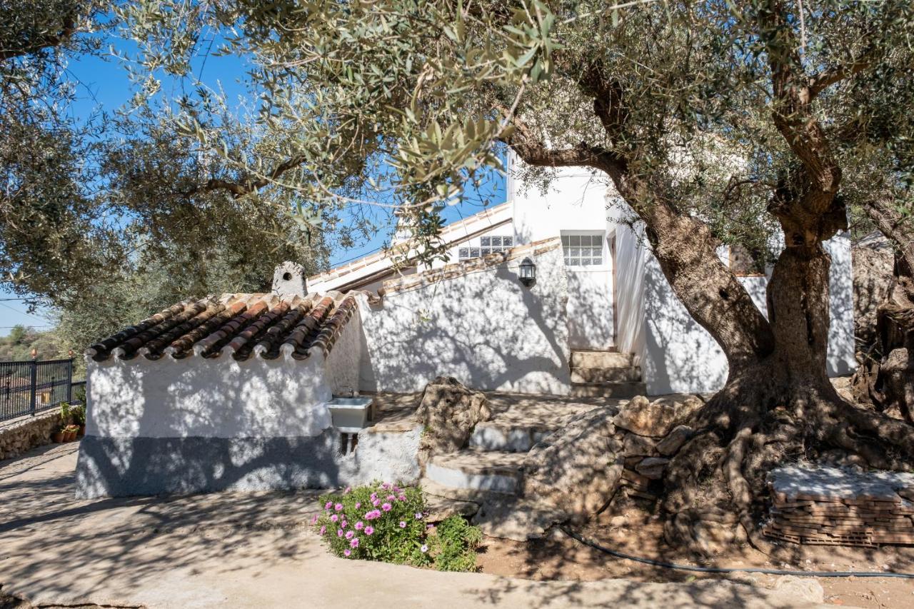Cortijo Salva Casa vacanze